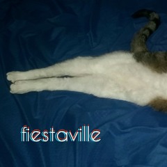 Fiestaville