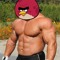 angry bird enjoyer