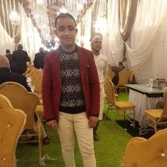 محمد عاشور الحاكم