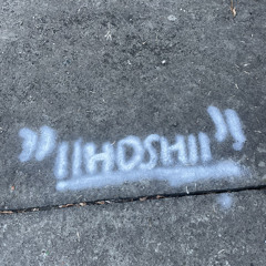 hdshonelove