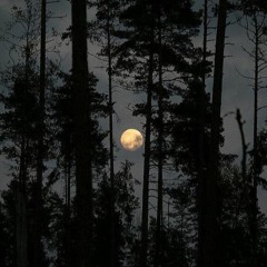 девятый отряд самоубийц