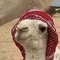 سعيد السنيد