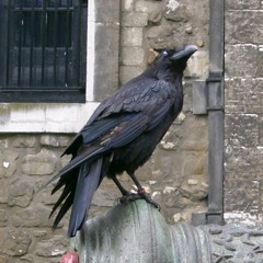 Gabriel.