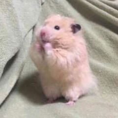 두목