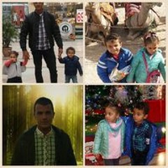 محمد فتحى حرحش