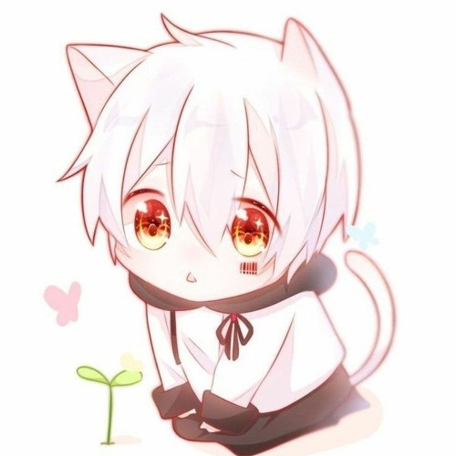 Nekochi’s avatar