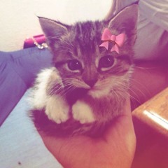 vniwaxsss