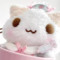 浪人にゃんこ