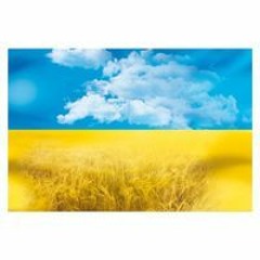 Roman Pavchuk