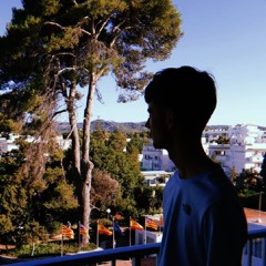 Phoenix Joe
