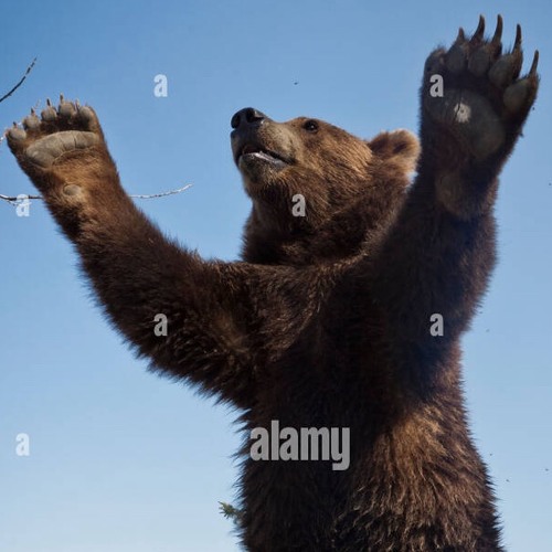 SoundCloud profile picture for @sudnm