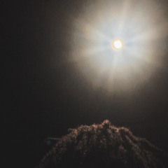 juhrm archive [+]