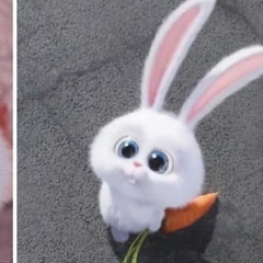 Mvungi Sebastian Kunjumu