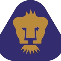 RafaCortes