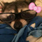 sillysox