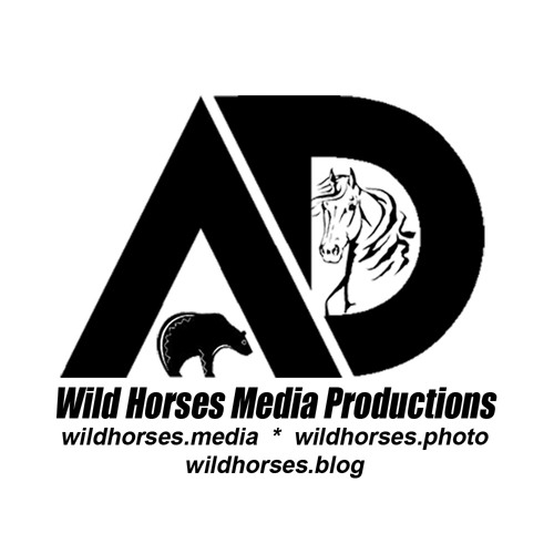 Wild Horses Media’s avatar