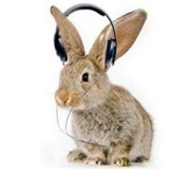 DumBun