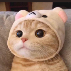 HàVương