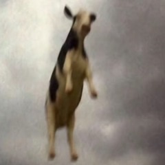 당신이 알 수도 있는 소