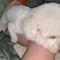 tien_@u