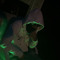 Demonrackz