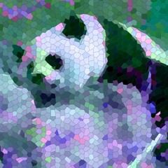 Camanda Panda