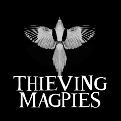THE THIEVING MAGPIES