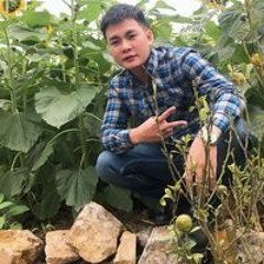 Bùi Hạnh