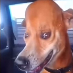 Jesus Christ loves you