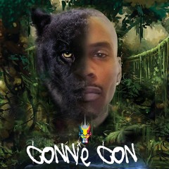 oneconniecon