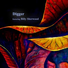 Digger (featuring Billy Sherwood)