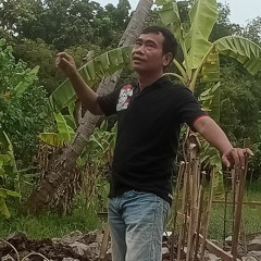 siTOkek GELo