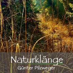 Naturklänge Günter Pilzweger