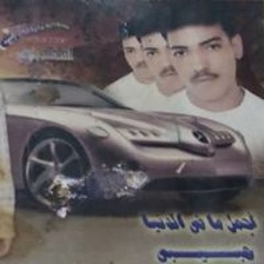 شريف الفيومي حسين