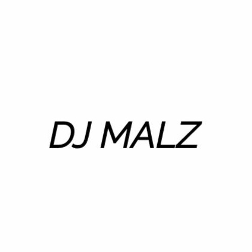 DJ MALZ — artist photo