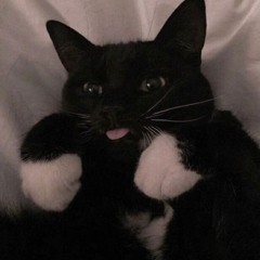 원