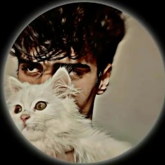 Sherif Amir