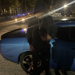 Cato 6s