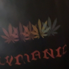 LVMANIC
