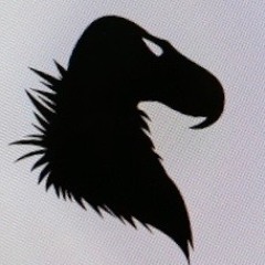 VULTURE SPIRIT