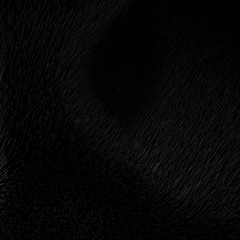 NAYDO(ARCHIVES)