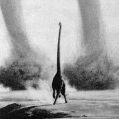 ꧁ ꀭꂦ ✿ ٭⊹