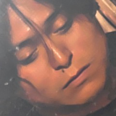 cicada_1234