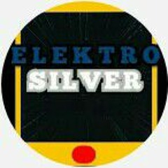 ELEKTROSILVER2019
