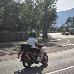 꿈나무
