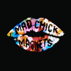 Mad Chick Magnets
