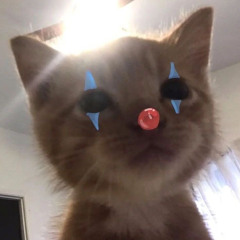 rbnnzq