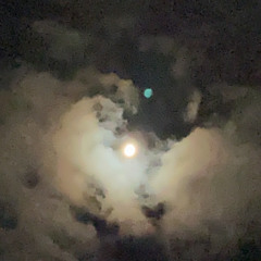 mflili