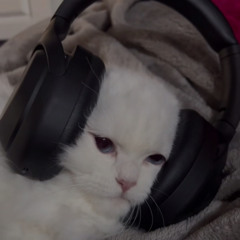 َ