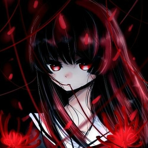 nightly’s avatar